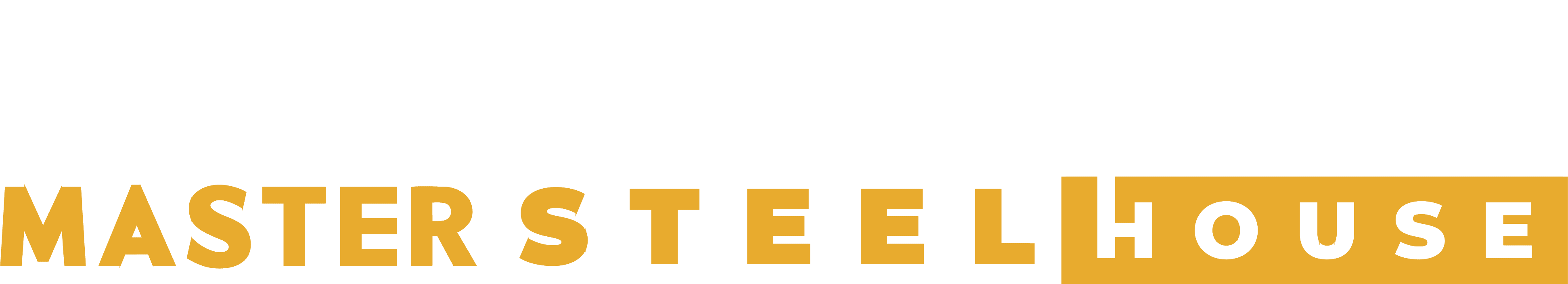 Master Steel House Logo